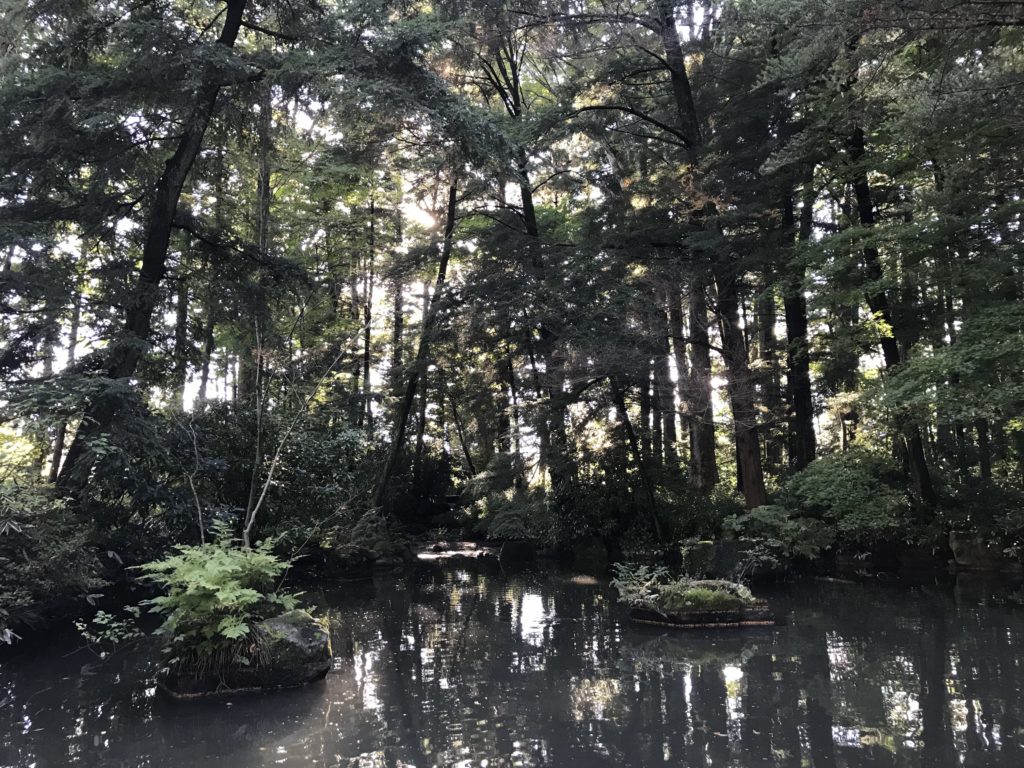 長野県安曇野市穂高神社の池