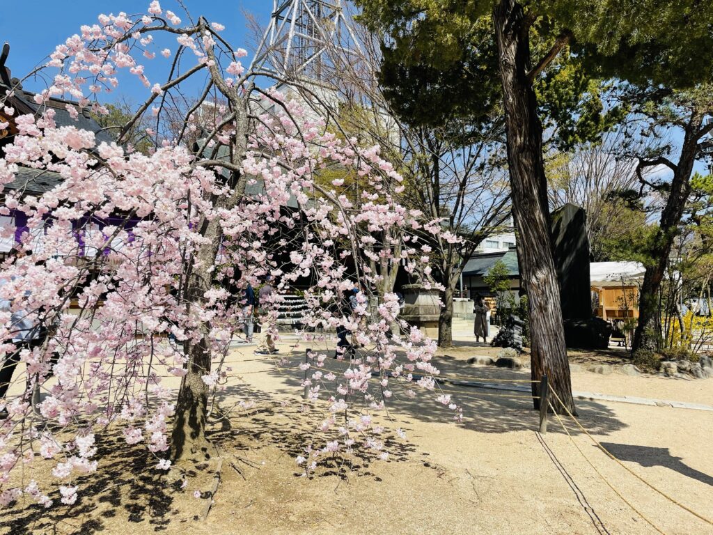 長野県松本市内の春の風景